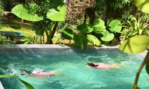Hiding in Moc Chau, bathing in Fairy Waterfall