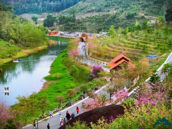 Khoảng 20.000 lượt khách du Xuân tại Khu du lịch quốc gia Mộc Châu