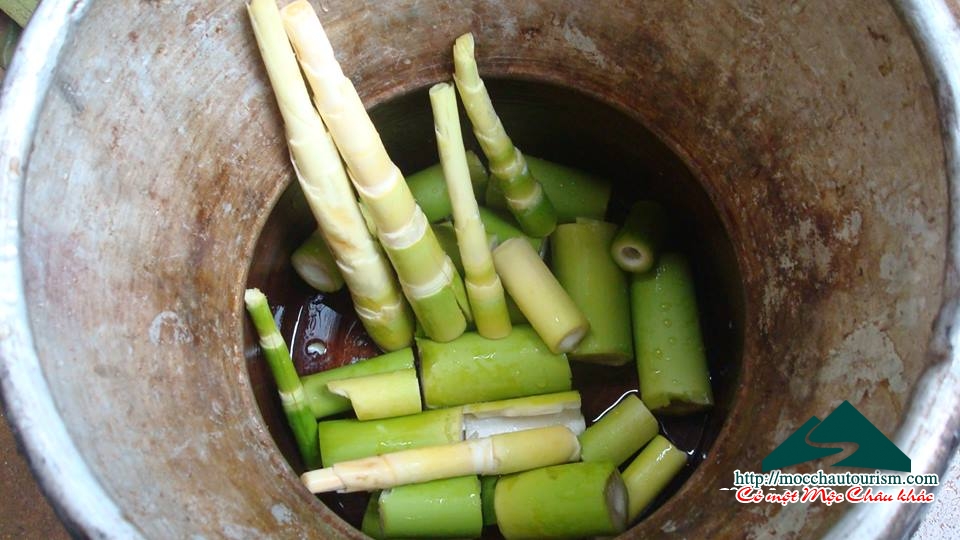 Delicacies from young bamboo treetops